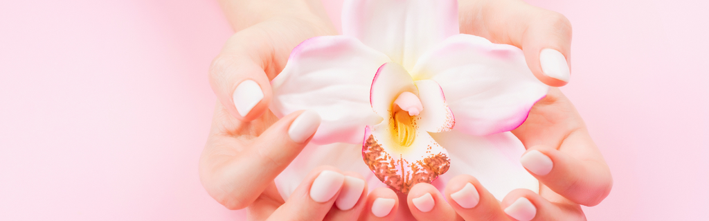 a pink and yellow orchid in a Womens hands fully open.